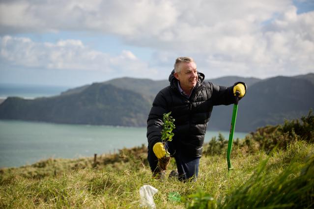 Man planting tree