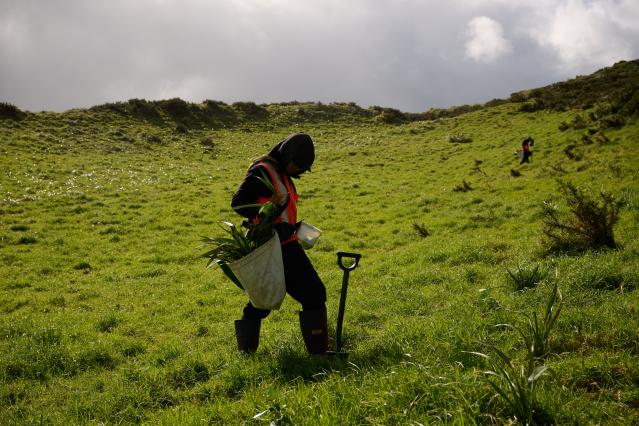 Girl planting trees