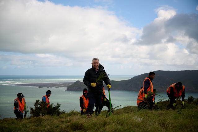 Group planting trees